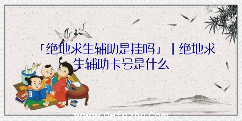 「绝地求生辅助是挂吗」|绝地求生辅助卡号是什么